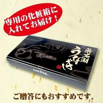 蒲焼き1本＆白焼き1本 国産 真空パック 浜名湖 長焼き 2人前  送料無料