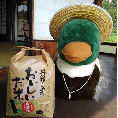 ふるさと納税 飯南町 カモしゃん米　玄米5kg