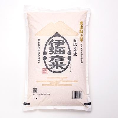 ふるさと納税 弥彦村 精米5kg×1袋　パックごはん2パック