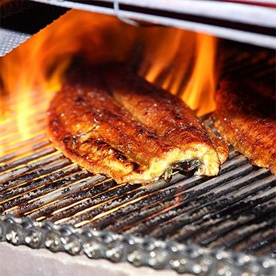 ふるさと納税 有田市 国産うなぎ蒲焼きカット500gセット