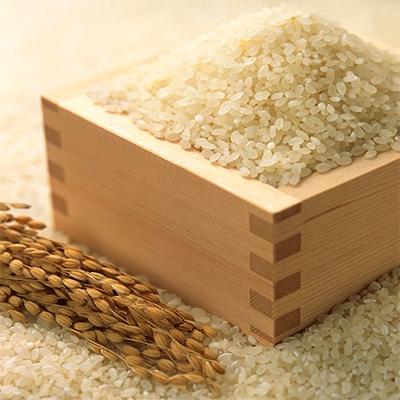 ふるさと納税 中間市 中間産米　ふるさとだより2kg×2袋 (計4kg) (中間市)全4回