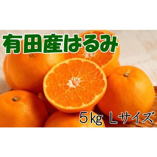 ふるさと納税 和歌山県 北山村 紀州有田産のはるみ約5kg(Lサイズ) ※2024年1月下旬頃〜2024年2月中旬ごろ順次発送（お届け日指定不可）