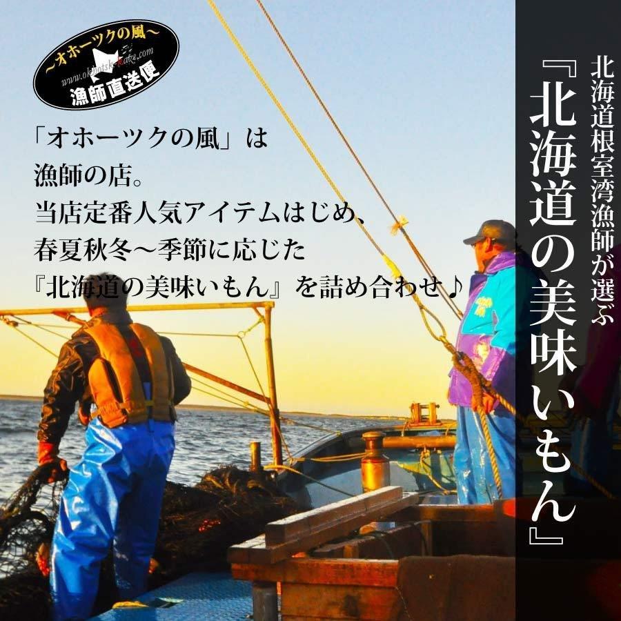 予約 オホーツク漁師の海鮮福袋 Aセット 北海道 漁師厳選 福袋 8-10種 イクラ カニ エビ ホタテ 海の幸