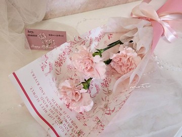 3朵進口康乃馨花束【限店面自取/雙北專送】