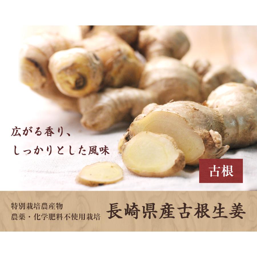 新生姜 長崎県産 1kg 生姜 特別栽培農産物 農薬化学肥料不使用 露地栽培 ご家庭用 にんじんジュースにも最適