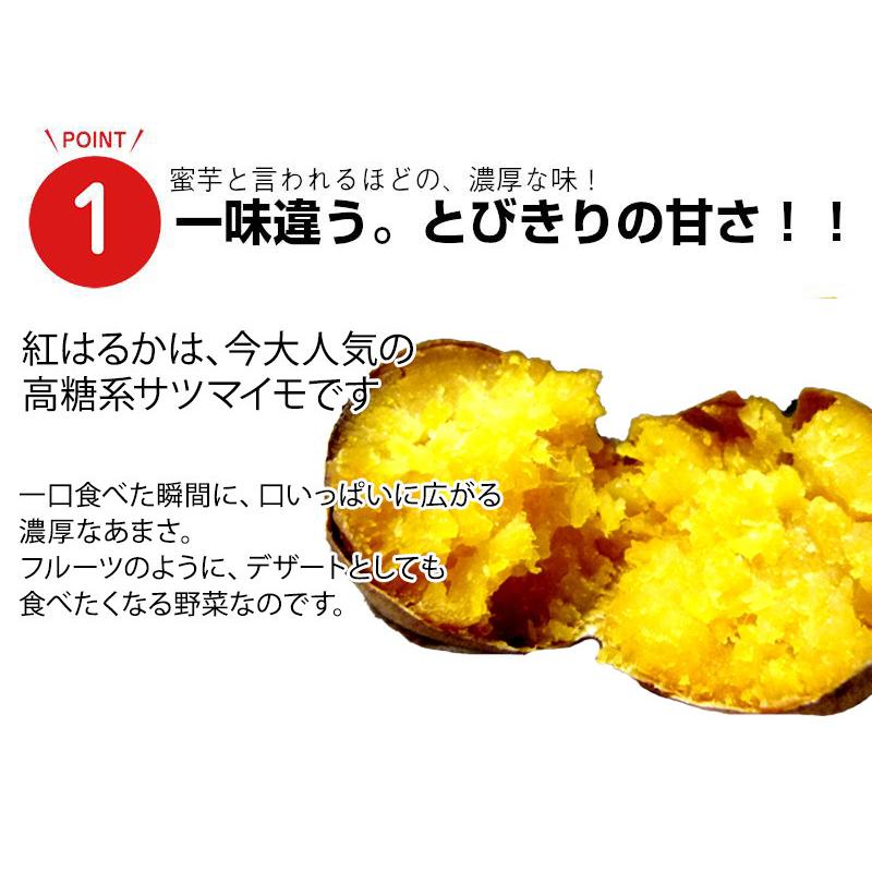 熊本産紅はるか丸形2Lサイズ 蜜芋 送料無料 ご家庭用 お歳暮