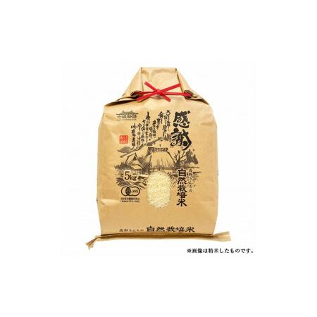 ふるさと納税 熊本県菊池産 ヒノヒカリ 玄米 5kg 七城物語 高野さんちの自然栽培米 熊本県菊池市