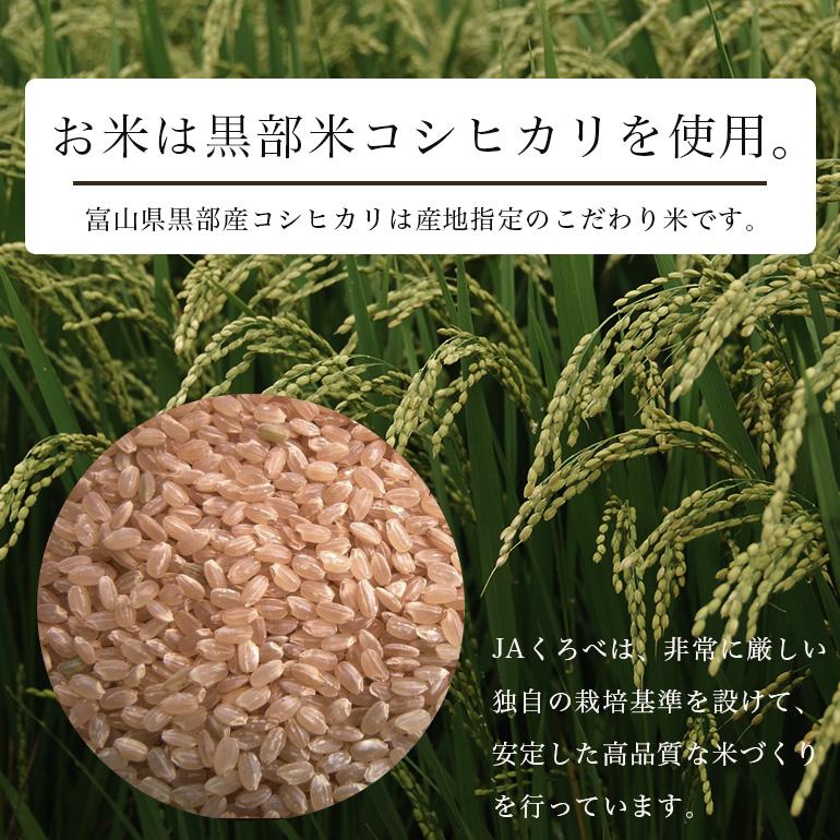 送料無料 玄米ごはんの素 白米と混ぜて炊ける発芽玄米 70g×7袋