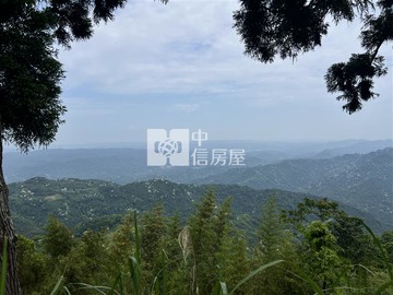 尖石馬胎山雲海秘境7甲景觀山林｜新竹縣尖石鄉義興段義興小段