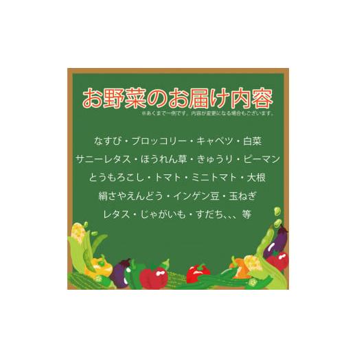 ふるさと納税 徳島県 阿波市 野菜 お楽しみ 5~7品目 年2回 定期便 詰め合わせ セット