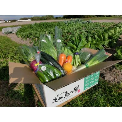 ふるさと納税 大山町 新鮮朝採れ野菜セット