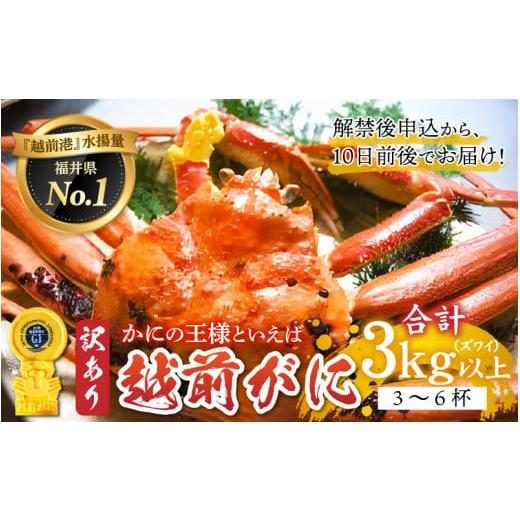 ふるさと納税 福井県 鯖江市 福井の冬の王様！越前がに 合計3kg以上（3〜6杯）5〜7人前　[O-00907]