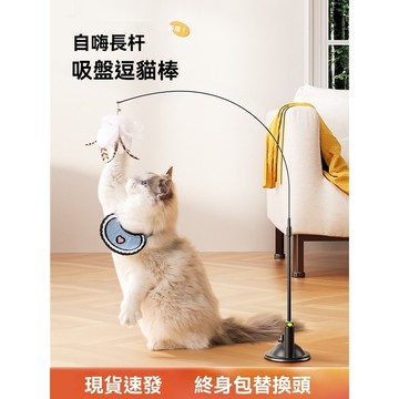吸盤式逗猫棒吸盤逗猫棒逗猫棒兩用可拆卸猫咪解悶柔軟鋼絲材質强力吸盤猫咪自嗨可替換接頭附羽毛頭猫玩具