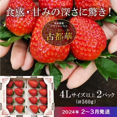 ふるさと納税 生駒市 高級いちご「古都華」4Lサイズ以上2パック　奈良県生駒市産　農家直送