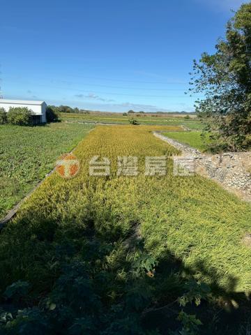 外埔農保地703坪｜台中市外埔區上廍子段