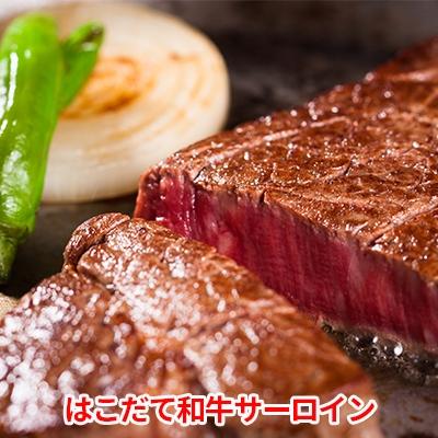 ふるさと納税 木古内町 はこだて和牛(サーロイン)1.5kg　満腹セット[No.5217-0014]