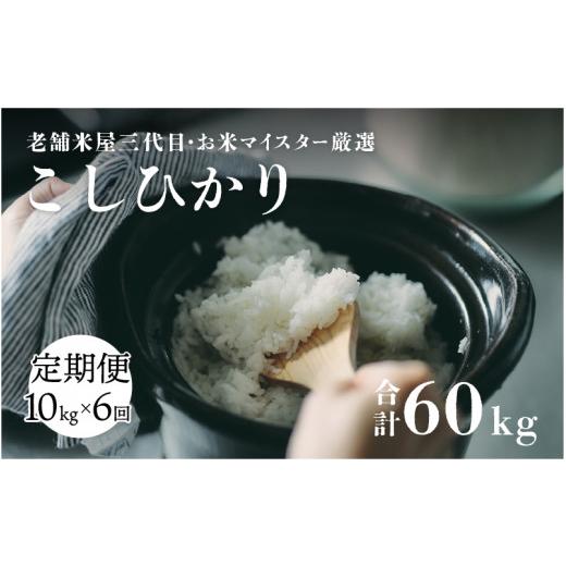 ふるさと納税 福井県 鯖江市 令和5年産 コシヒカリ 10kg (5kg×2袋）× 6回   計60kg (2月上旬、3月上旬、4月上旬、5月上旬、6月上旬、7月…