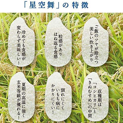 星取県の新しいお米 令和5年産 新米 星のように輝く美味しさ 鳥取県産 星空舞 白米（精米） 5kg 西日本