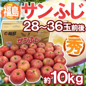 福島産 ”蜜入りサンふじりんご” ○秀品 28～36玉前後 約10kg 送料無料