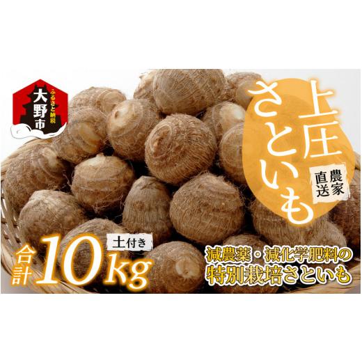 ふるさと納税 福井県 大野市 上庄さといも 10kg 減農薬・減化学肥料の特別栽培里芋