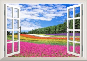 絵画風 壁紙ポスター 花畑 ラベンダー ポピー 小町草 富良野 北海道 窓仕様 Flgd 001ma2 版 594mm 4mm 通販 Lineポイント最大1 0 Get Lineショッピング