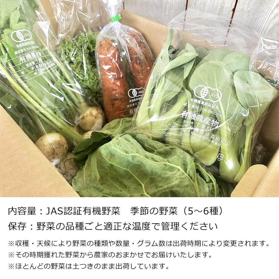 産地直送 お取り寄せグルメ ギフト 生産者限定 JAS認証有機野菜BOX Aセット