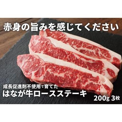 ふるさと納税 熟成肉 はなが牛ロースステーキ 愛媛県西予市