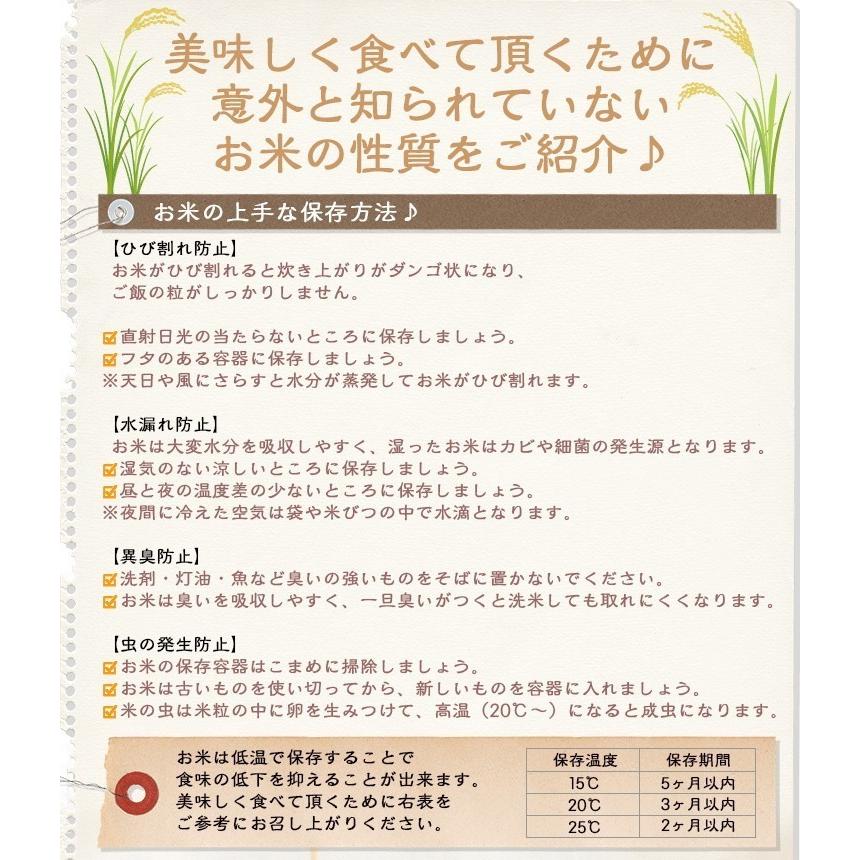 新米 米 玄米 20kg 5kg×4袋 コシヒカリ 福井県産 令和5年産 送料無料