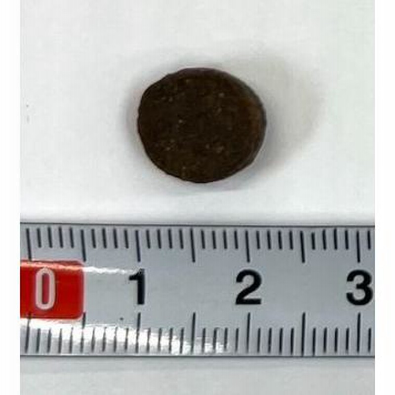 CHARM チャーム ラム＆サーモンドッグ 5.4kg 【ドッグフード