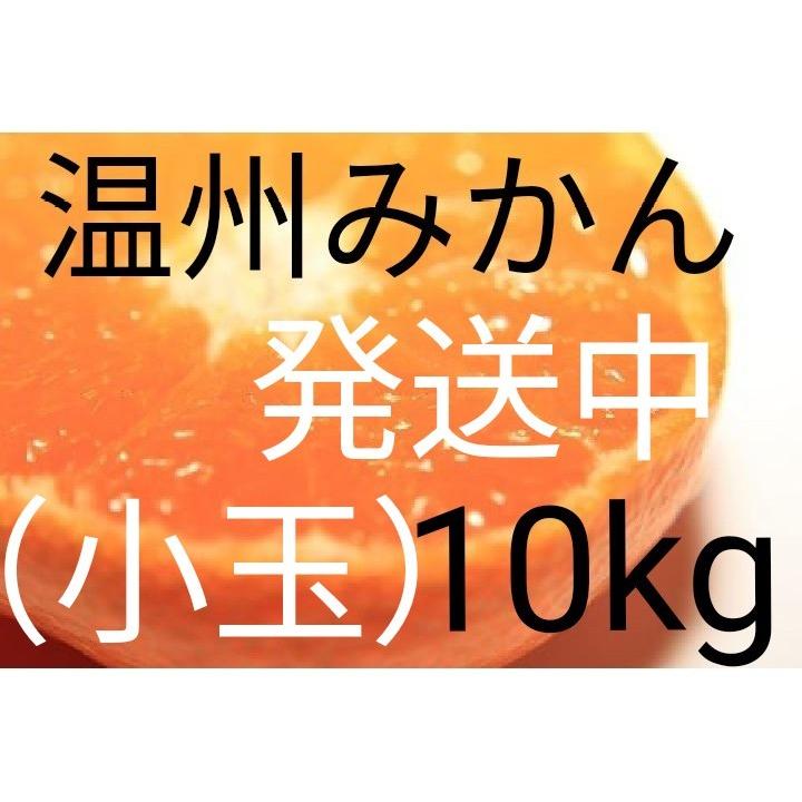 （送料無料）（小玉みかん10kg）佐賀の甘くて美味しい温州みかん（訳ありご家庭用）(送料無料は東北、沖縄、北海道を除きます。)