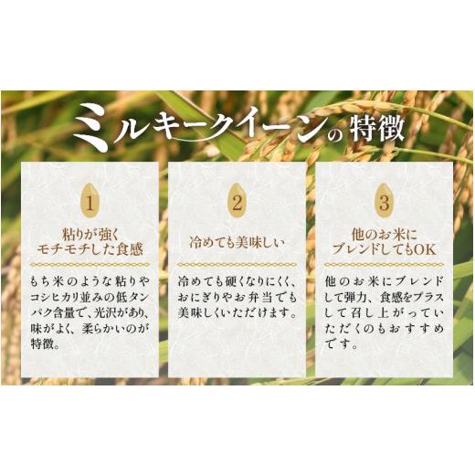 ふるさと納税 福井県 あわら市 《定期便》5kg×12回 60kg 特別栽培米 ミルキークイーン 玄米 低農薬 《食味値85点以上！こだわり極上玄米》 …