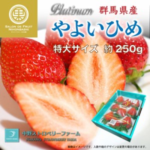 [予約 2024年1月5日-1月30日の納品] プラチナムやよいひめ 6-12粒 約250g 群馬県産 DX 化粧箱 いちご