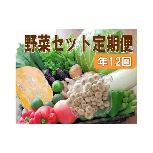 ふるさと納税 和歌山県 御坊市 旬の新鮮野菜セットＡ（たっぷり15品以上）
