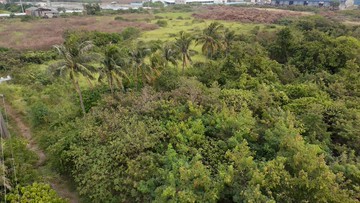 路科及本洲工業區間近民主路漂亮5.34分大農地｜高雄市岡山區新本洲段