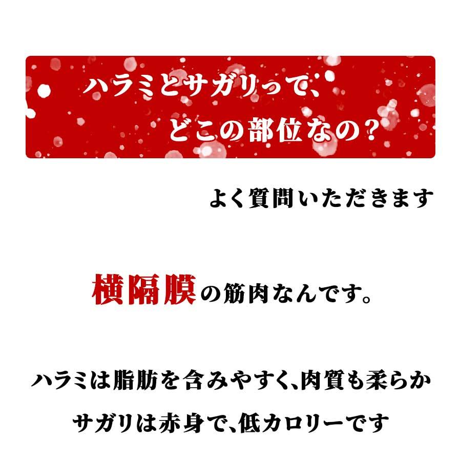 お歳暮 御歳暮 肉 焼肉 牛 ハラミ サガリ 牛ホルモン 200g 250g 冷凍 プライム プレゼント ギフト 贈り物