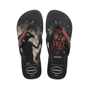 榮榮鞋坊 Havaianas 哈瓦仕【現貨不用等 正品正貨】 男拖鞋魔法聯名 人字拖 4141763-7866