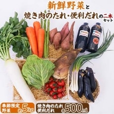 新鮮野菜(約5kg)と焼き肉のたれ便利だれの二本セット