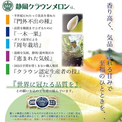 ふるさと納税 袋井市 クラウンメロン(白等級)特大玉1玉・6ヵ月毎月お届け全6回