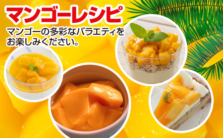 芳醇な香り　とろける食感　沖縄県「優秀賞」マンゴー1kg