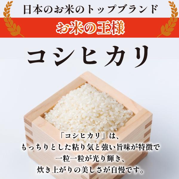 選べる精米方法 ＜白米はたは無洗米＞ 令和5年産 こしひかり  20kg （5kg×4袋） 山形県最上地域産 《送料無料》