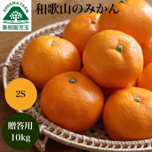 お歳暮 ギフト 小玉みかん 10kg みかん 贈答用 送料無料 和歌山 箱買い