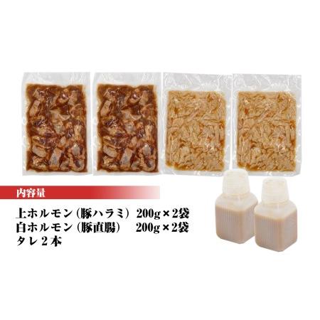 ふるさと納税 上ホルモン・白ホルモンセット（タレ付き）  各200g×2パック　合計800g　N122-ZA370 宮崎県延岡市