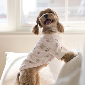 韓國品牌 【梨花娘總代理】🐾BAILEY 🐶秋冬新品 滿版小熊圖案舒適寵物連身衣(3色)