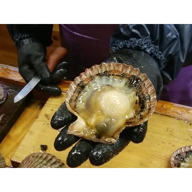 桧扇貝の佃煮（冷凍発送）
