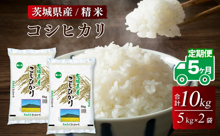 令和5年産 茨城県産 コシヒカリ 精米 10kg (5kg×2袋) ※離島への配送不可