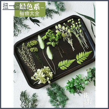 永生花🌸 綠色永生花植物大全幹花DIY材料繡球水晶草韆層金手作伴手禮裝飾