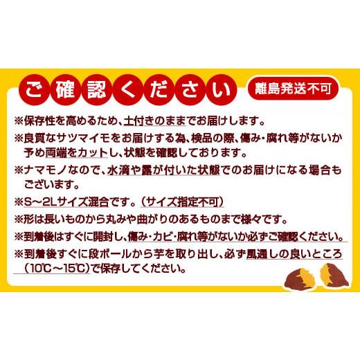 ふるさと納税 宮崎県 都城市 山下農園　熟成シルクスイート 10kg 都城産 シルクスイート さつまいも サイズ未選別 長期熟成_AA-I702