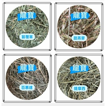 龍寶牧草🔥現貨速出🔥紫花苜蓿🐇 苜蓿 百慕達 甜燕麥  提摩西 乾牧草 兔子  天竺鼠 龍貓 陸龜