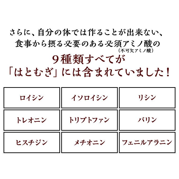 国産はとむぎ スナック 180g 2袋セット そのまま食べる お徳用 はと麦 ヨクイニン はとむぎの実 はとむみ 送料無料 スーパーフード 雑穀 シリアル