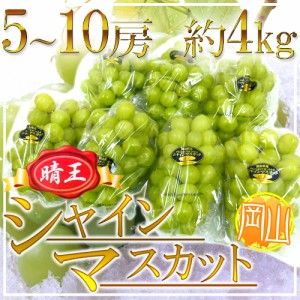 岡山産 ”シャインマスカット「晴王」” 5～10房 約4kg ぶどう 送料無料